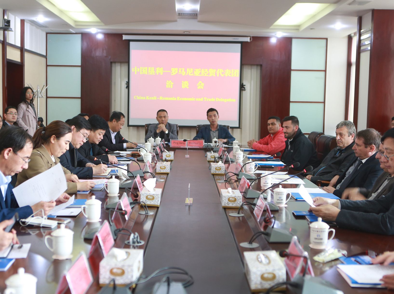 墾利區(qū)與羅馬尼亞多瑙河三角洲經(jīng)貿(mào)洽談會在中國萬達集團順利召開