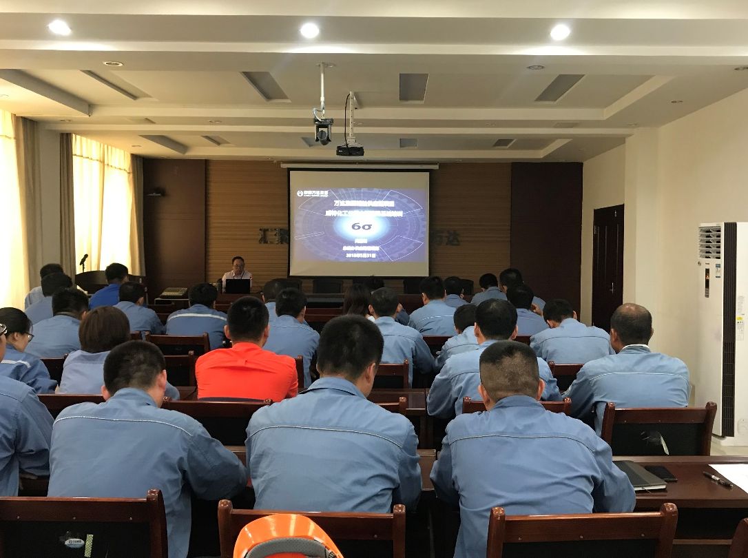 耐斯特炭黑、威特化工精益六西格瑪基礎知識培訓按期開展