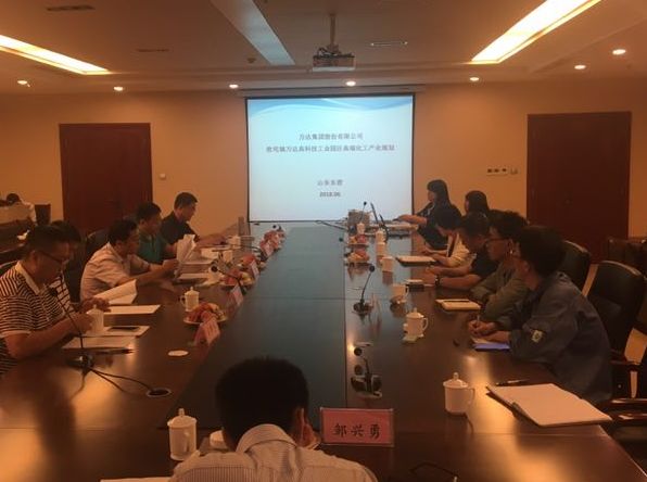 《萬達(dá)集團(tuán)股份有限公司高端化工產(chǎn)業(yè)園發(fā)展規(guī)劃》專家評審會議順利完成